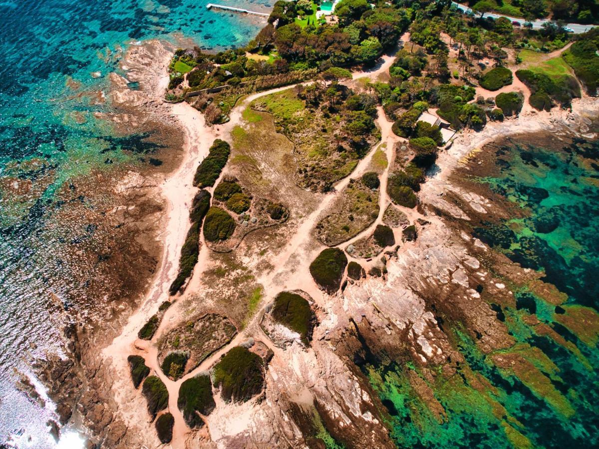 Hotel Les Palmiers Σαιντ-Μαξίμ Εξωτερικό φωτογραφία